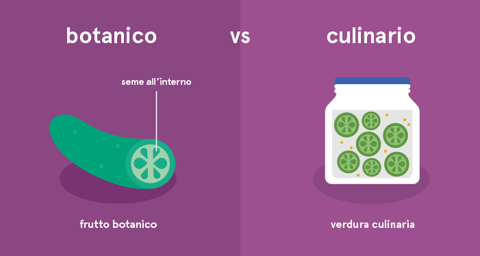 Classificazione botanica contro classificazione culinaria dei cetrioli
