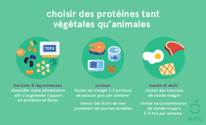 Choisir des protéines tant végétales qu’animales 