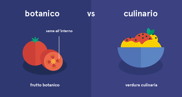 Classificazione botanica vs classificazione culinaria dei pomodori