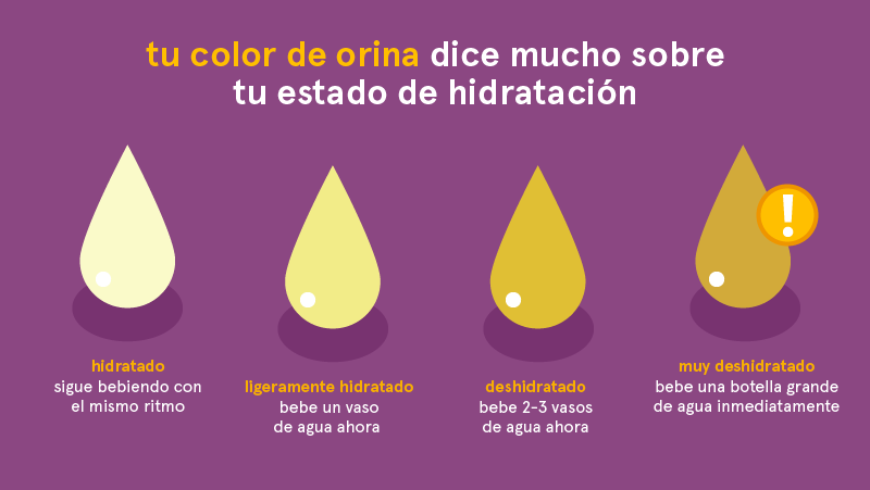 orina y estado de hidratación