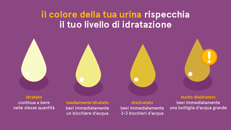 Il colore della tua urina rispecchia il tuo livello di idratazione