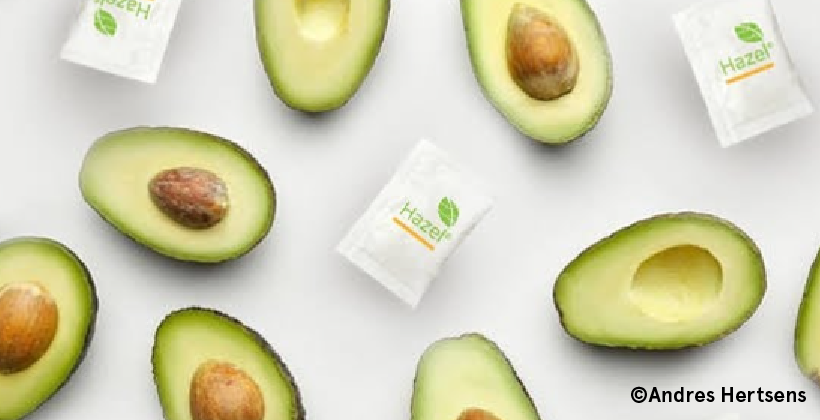 Big innovation, small package: US start-up that slows avocado ripening secures US$13m funding