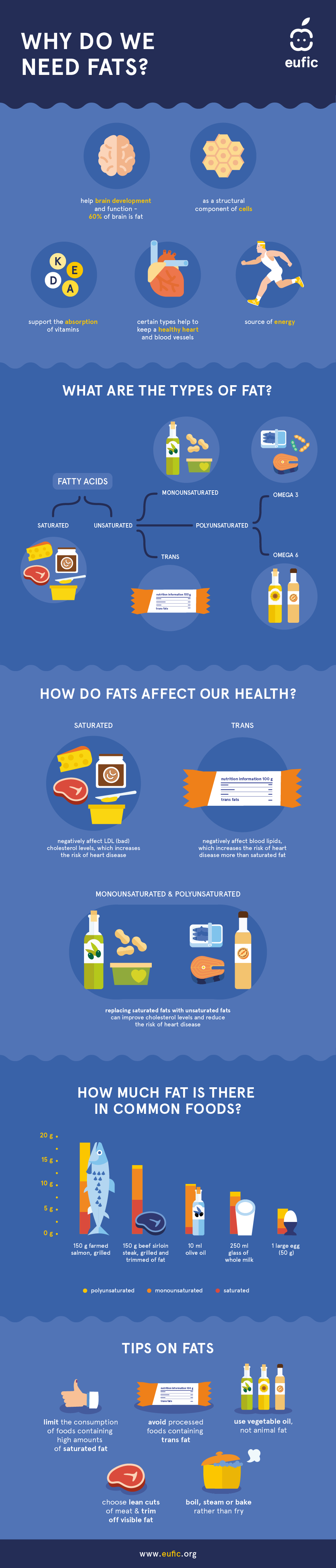Dietary fats infographic