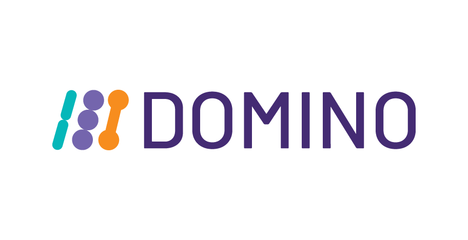 DOMINO project logo with a white background