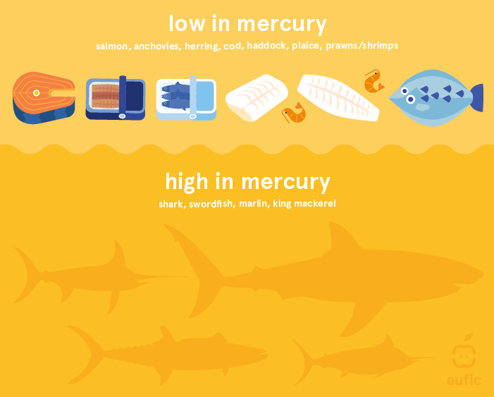 Fish high and low in mercury