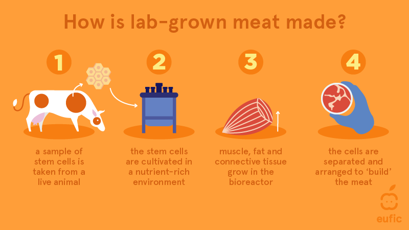 how lab-grown meat is made