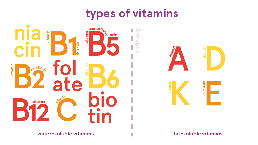 types of vitamins