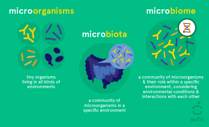 Microorganisms, microbiota and microbiome