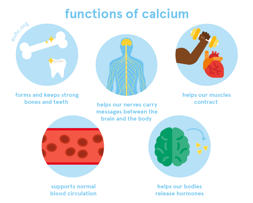 functions of calcium