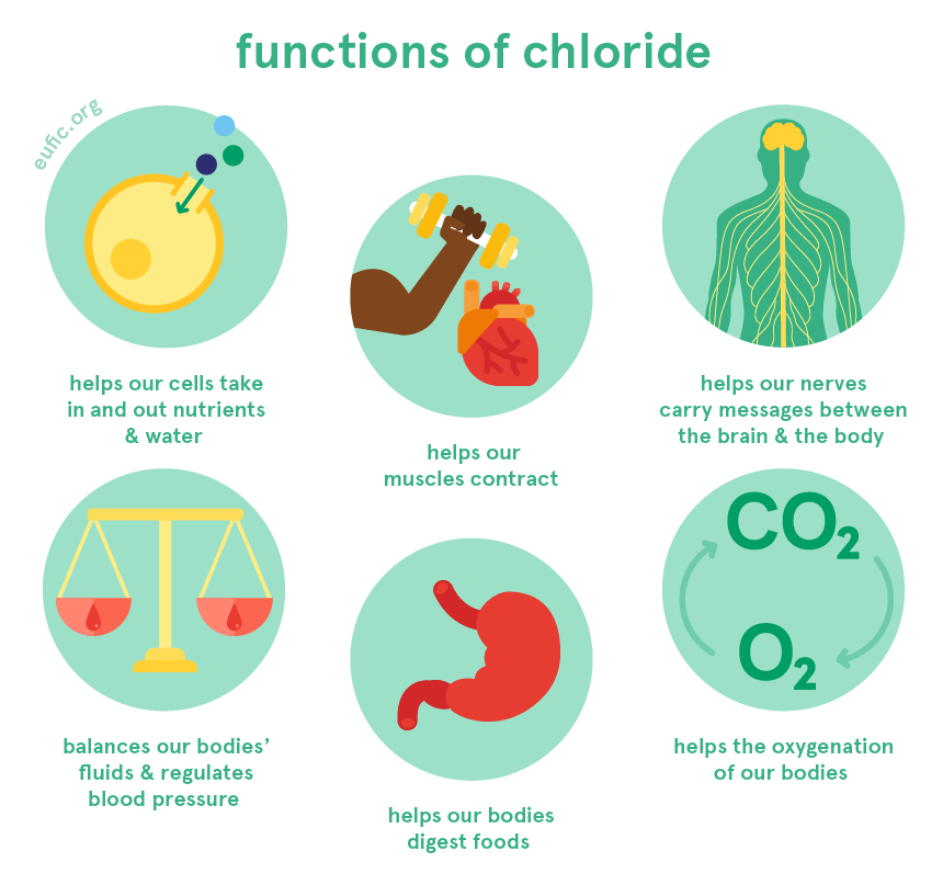 Functions of chloride
