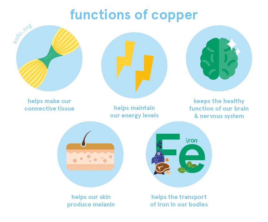 functions of copper