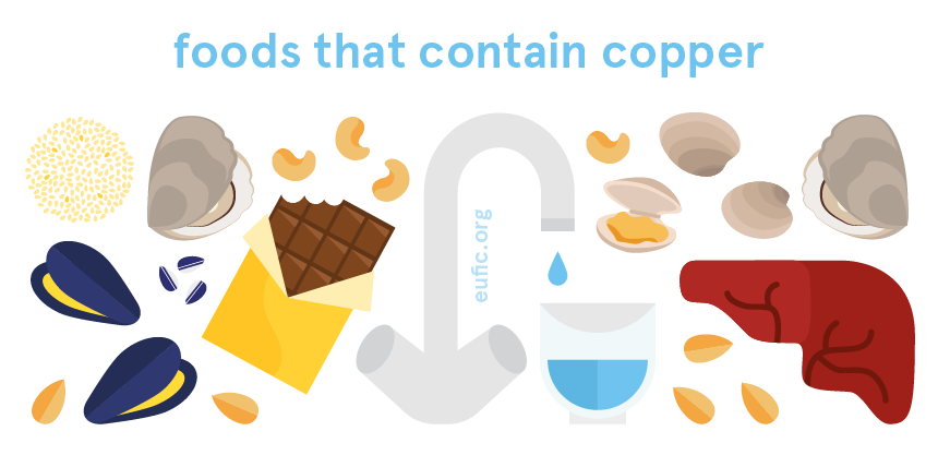 foods that contain copper