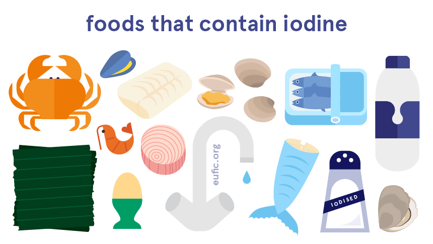 Foods that contain high iodine store
