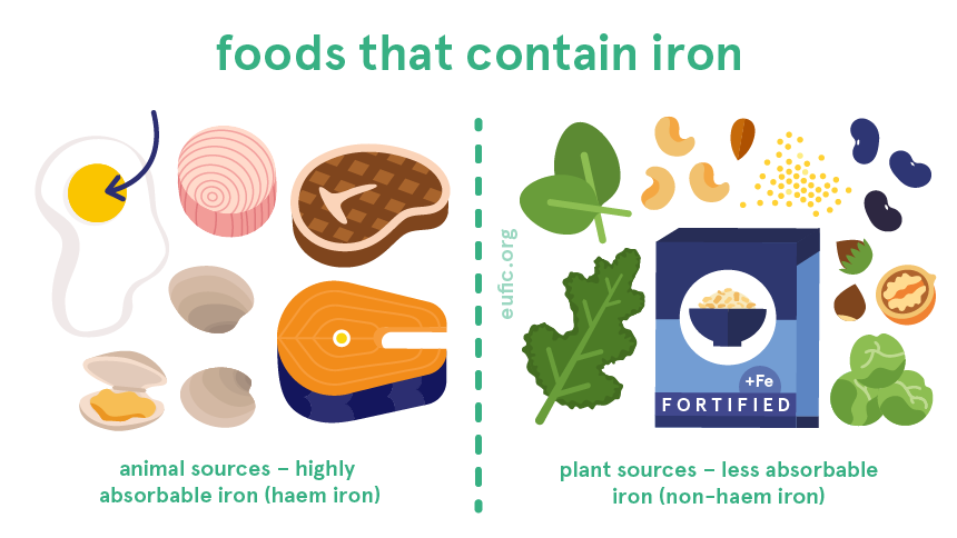 Foods that contain iron