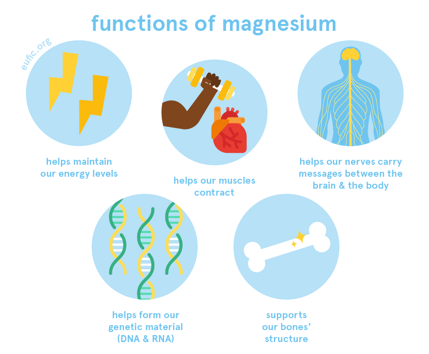 Functions of magnesium