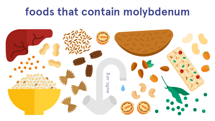 Foods that contain molybdenum 