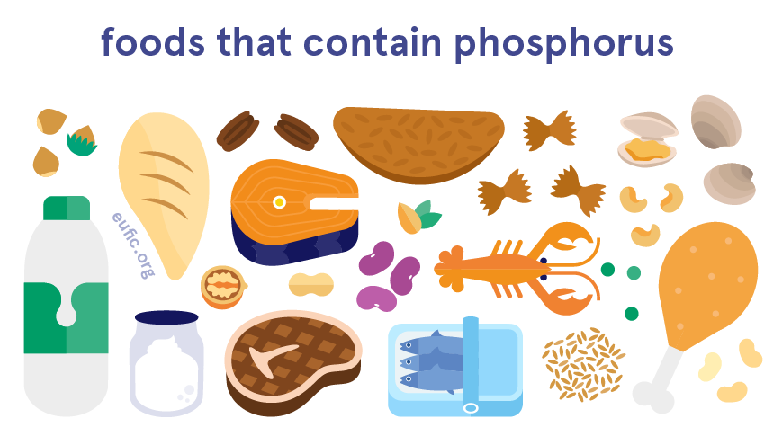 foods that contain phosphorus