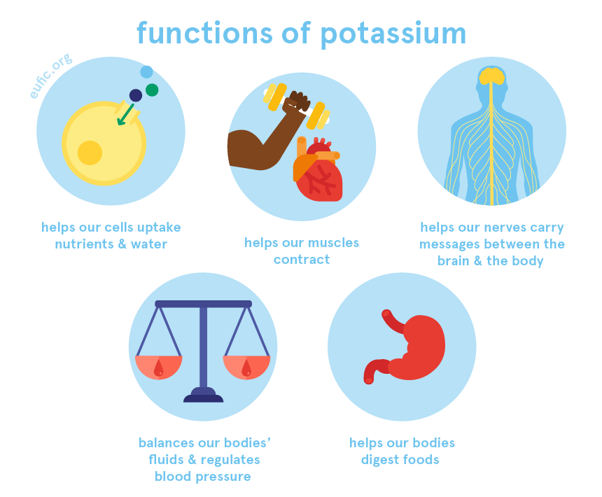 functions of potassium