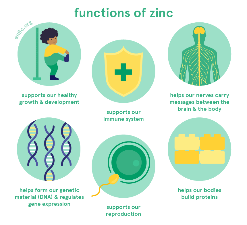 functions of zinc