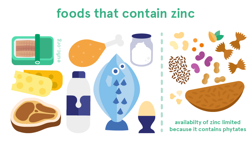 foods that contain zinc