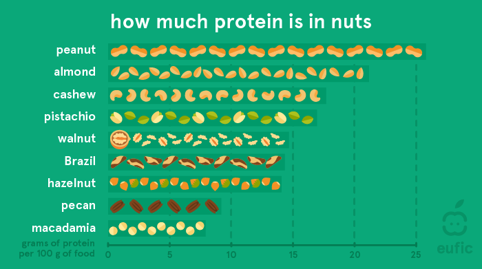 How much protein is in nuts