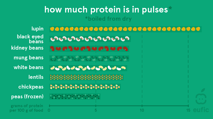 How much protein is in pulses
