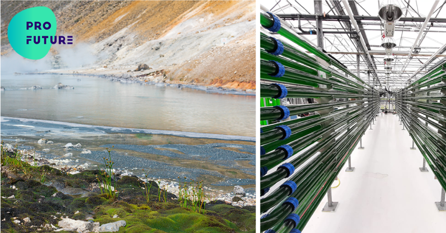 Production of Galdieria sulphuraria in a pilot tubular photobioreactor at AlgaePARC (in the right image) and hot springs (in the left image)