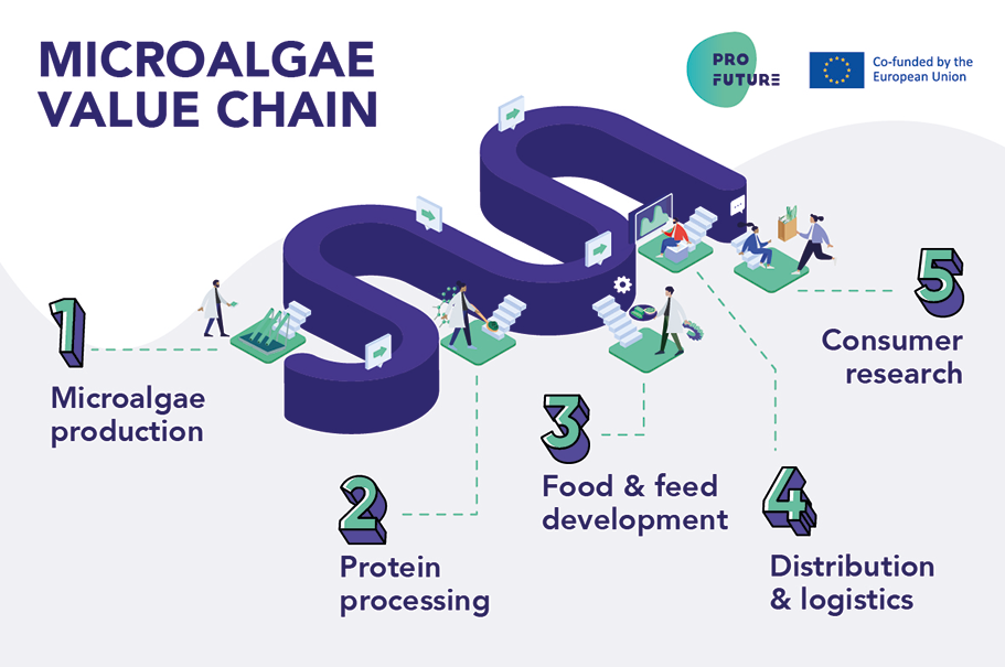 microalgae value chain