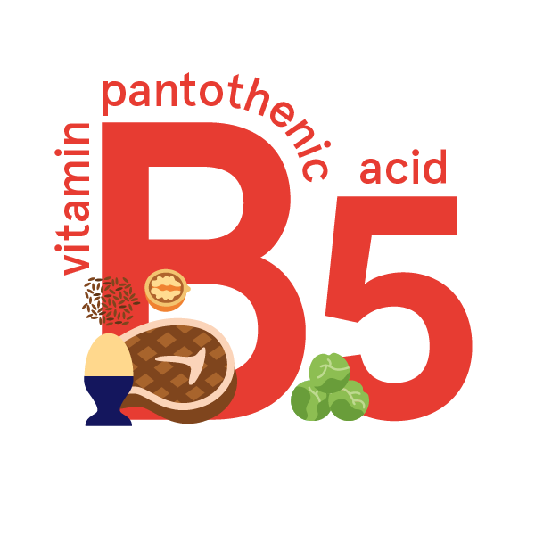 Pantothenic acid (vitamin B5): foods, functions, how much do you need & more
