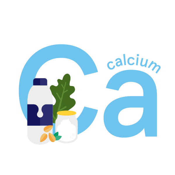 Calcium: foods, functions, how much do you need & more