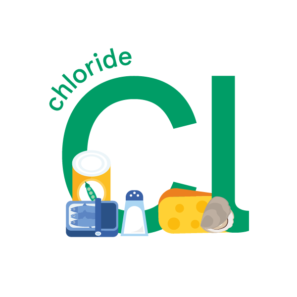 Chloride: foods, functions, how much do you need & more
