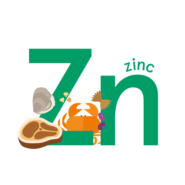 Zinc: Foods, Functions, How much do you need & more