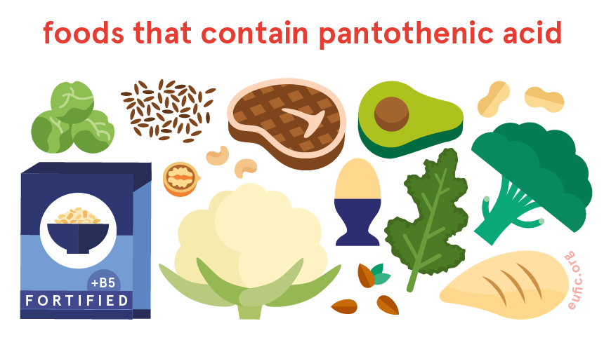 Pantothenic acid (vitamin B5): foods, functions, how much do you need &  more | Eufic