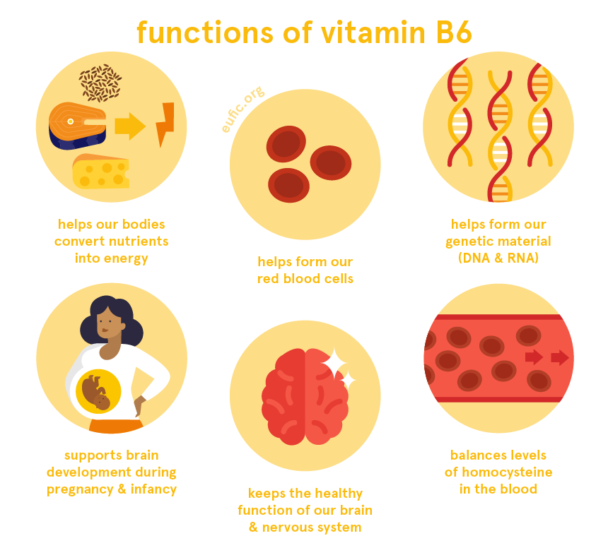 Pearls And Oy sters Vitamin B6 Deficiency Presenting With 58 OFF