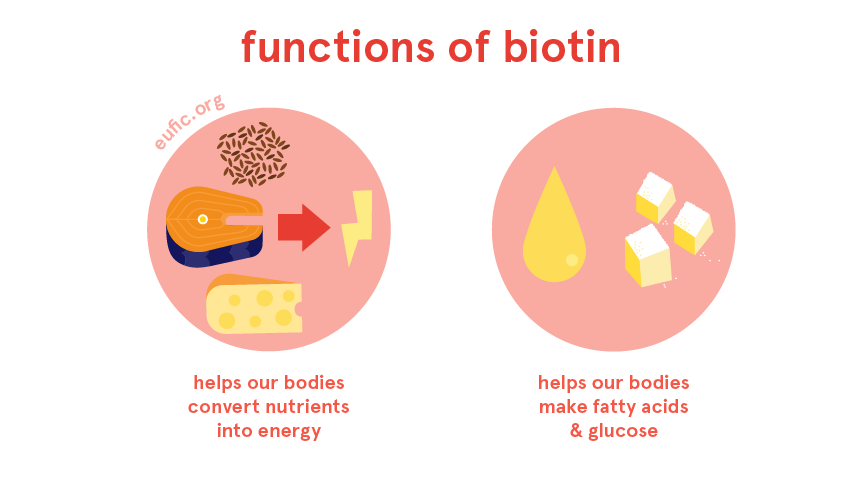 Functions of biotin