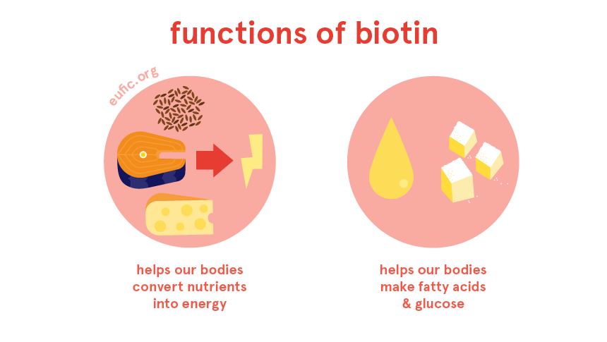 what does biotin do for hair