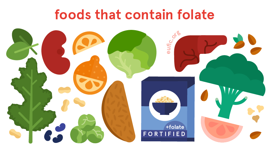 Foods that contain folate