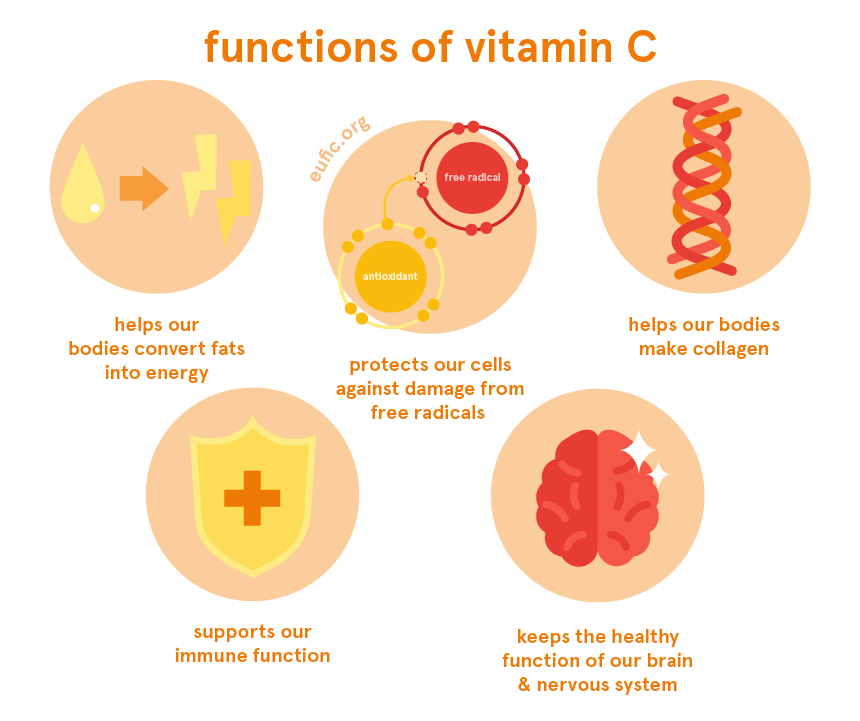 Chức năng của Vitamin C và lợi ích đối với sức khỏe