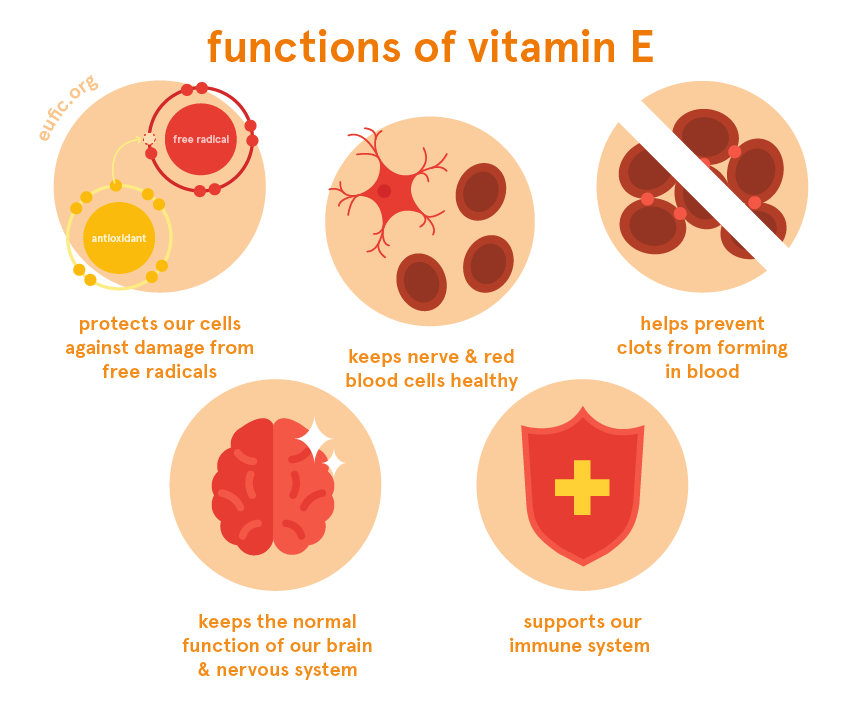 Vitamin E: foods, functions, how much do you need & more | Eufic