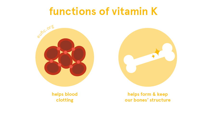 functions of vitamin K
