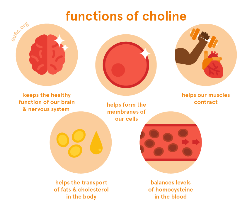 Get some choline