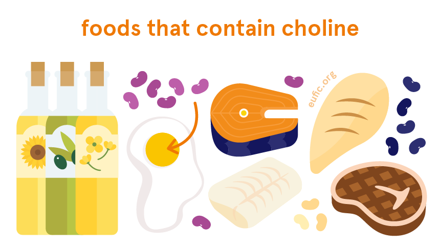 foods that contain choline