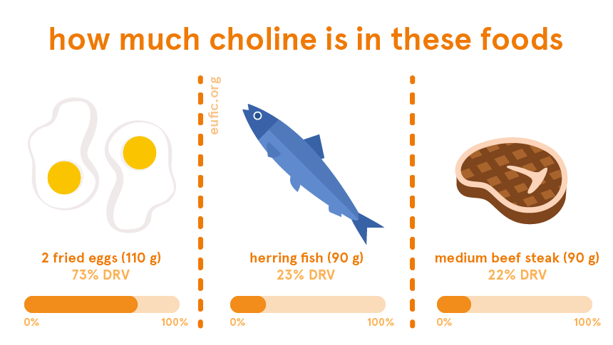 how much choline is in 2 fried eggs, herring fish and a medium beef steak