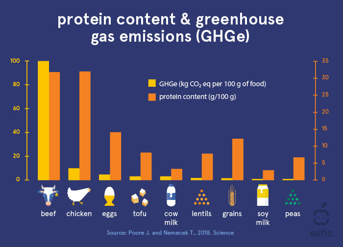 protein content & greenhouse gas emissions (GHGe)