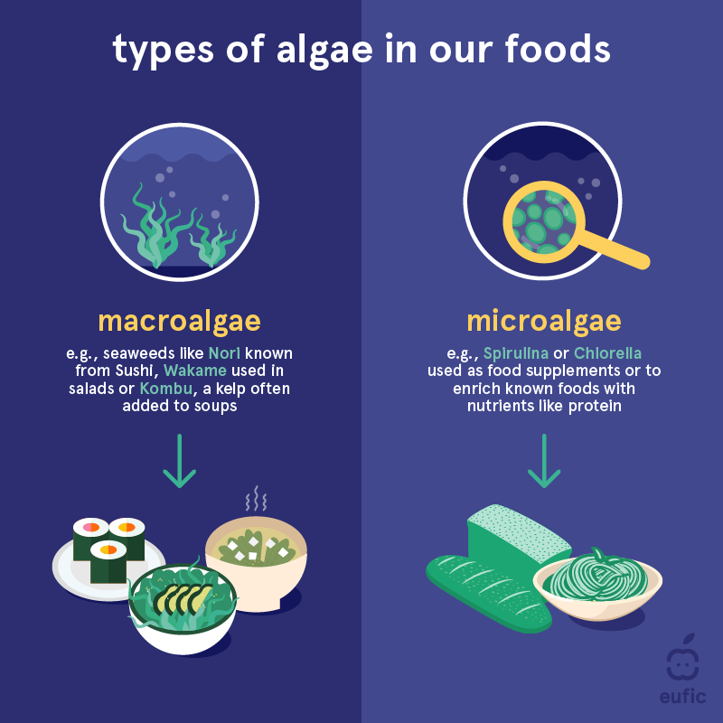 types of algae in our foods