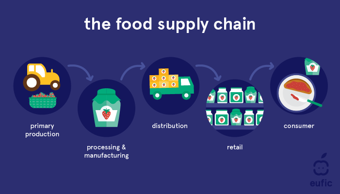 The Food Supply Chain