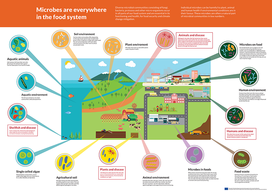 microbes in the food system