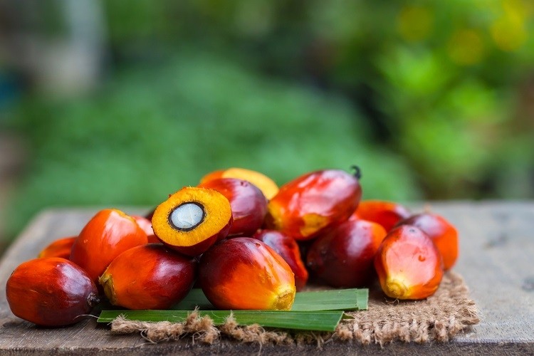 Fatty acid in palm oil associated with spread of cancerous cells