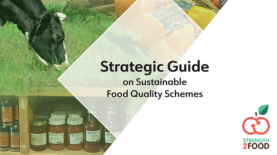 Strength2Food food quality schemes (FQS) strategic guide