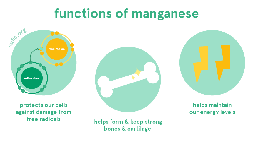 Functions of manganese